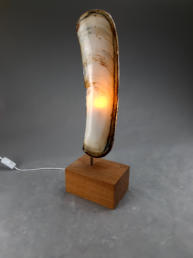 Porzellan Schwertmuschellampe Bildhauer Bjrn Poppinga